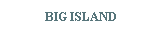 Text Box: BIG ISLAND
